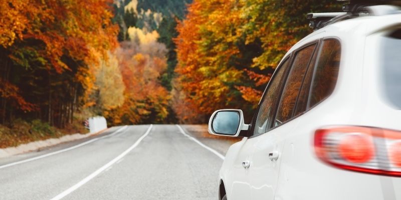 A car driving through a vibrant autumn forest, surrounded by colourful foliage and a winding road.
