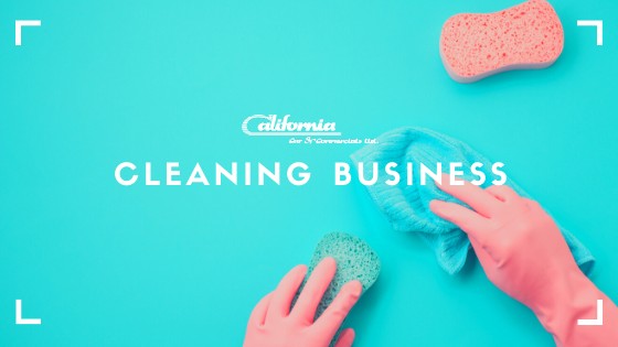 cleaning business - business ideas