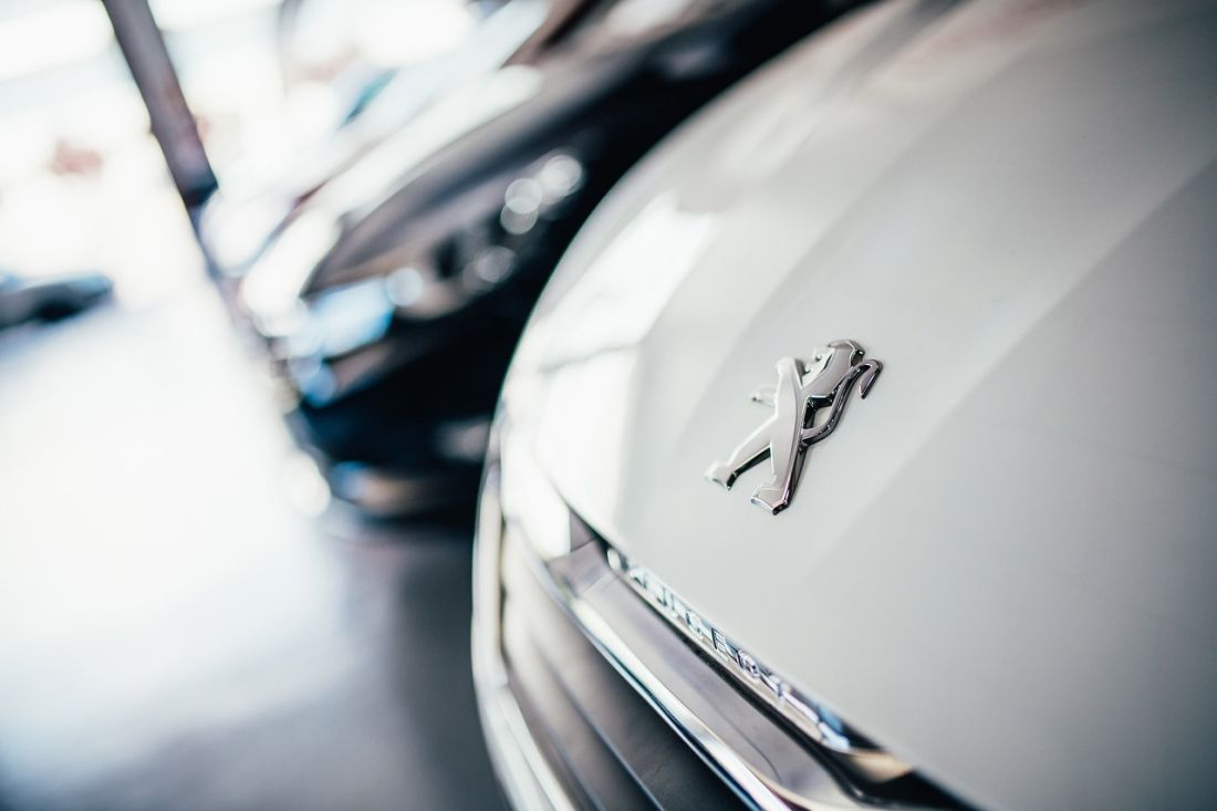peugeot bumper badge