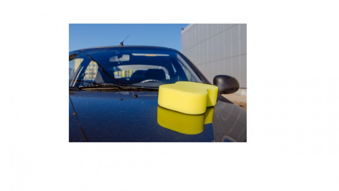 Top tips for removing bird droppings Motor Connect Ltd (Northwich)
