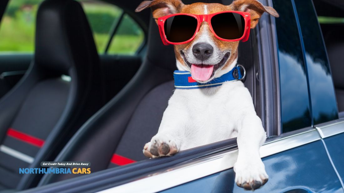 The funniest car pranks of all time Northumbria Cars