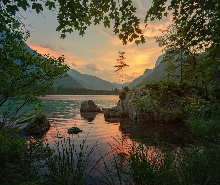 Sunset or sunrise on the lake.
