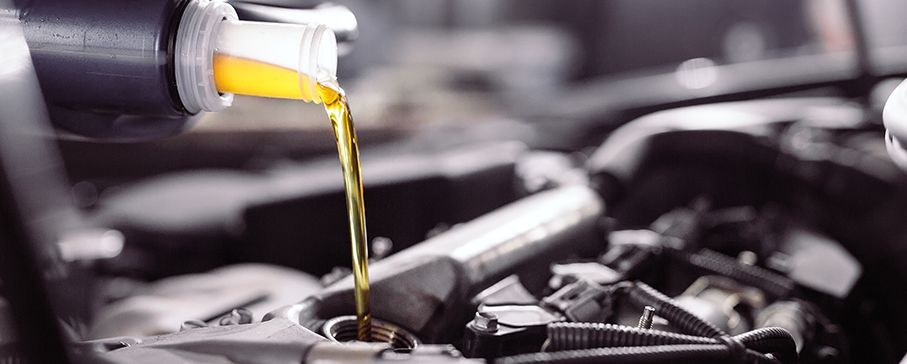 Top Maintenance Tips for Your WAV - WavMob