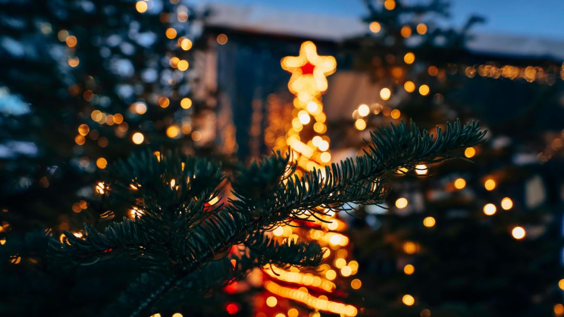 Close up of a Christmas tree