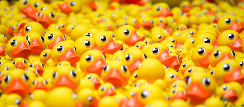 Colourful rubber duck toys grouped together.