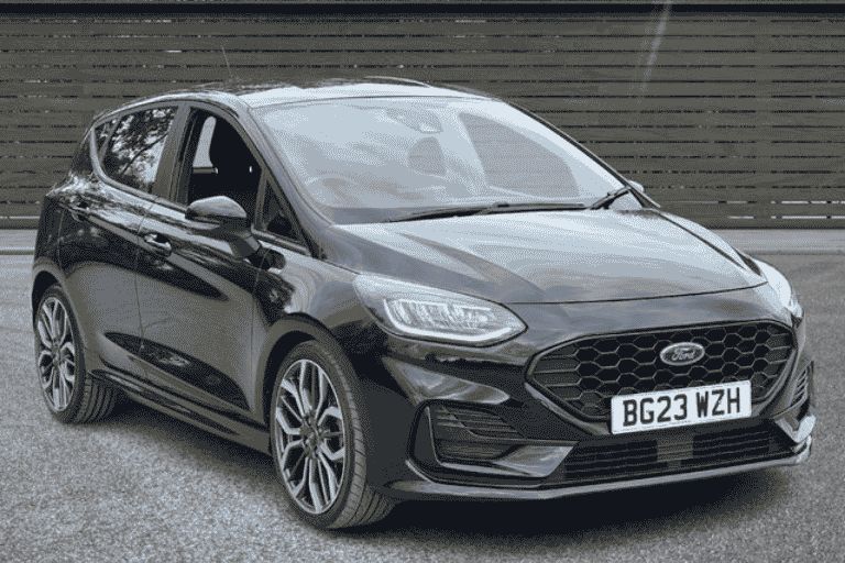 Black Ford Fiesta in front of a wooden gate.
