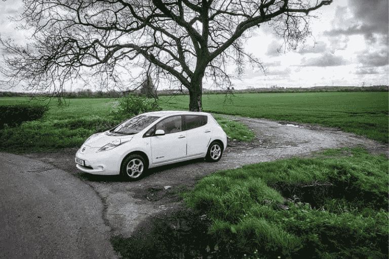 White Nissan Leaf parked on a rural road beside a large tree and open fields.