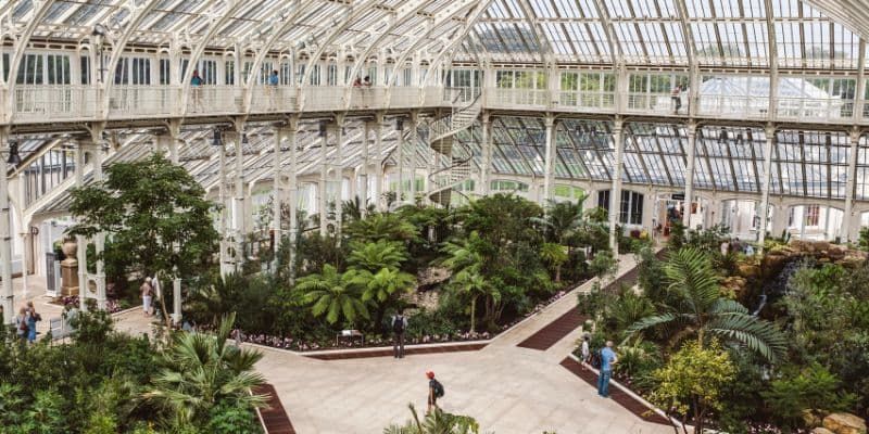 Interior of a large glasshouse filled with tropical plants and walkways.