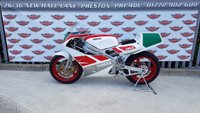 USED 1988 YAMAHA TZ250 U Road Racer 2 Stroke Classic Superb, original example ready to race, parade or show