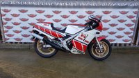 USED 1987 D YAMAHA RZV 500R Sports Classic 2 Stroke Superb, well maintained, runs beautifully
