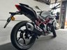 USED 2026 BENELLI BN 125 125cc E5 BRAND NEW & IN STOCK NOW!!!