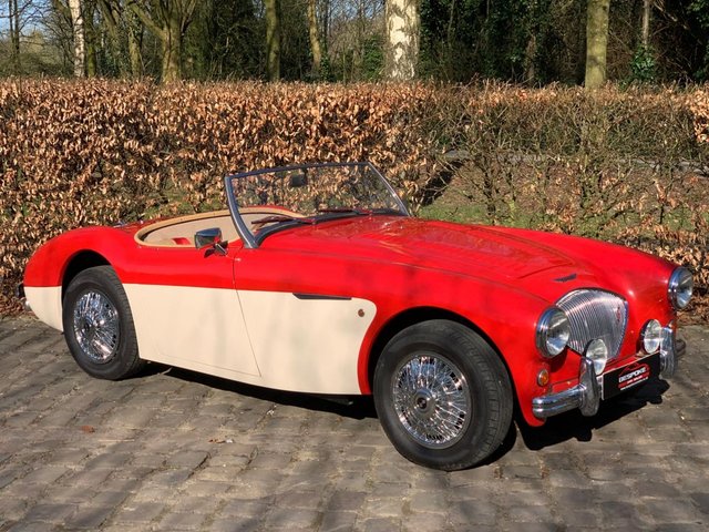 2026 20 Austin Healey HALDANE - HEALEY  REPLICA