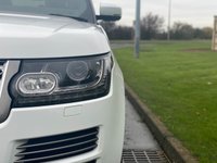 USED 2016 16 LAND ROVER RANGE ROVER 3.0 TDV6 VOGUE SE 5d 255 BHP FLAG SHIP 4 WHEEL DRIVE  Adaptive Intelligence Model