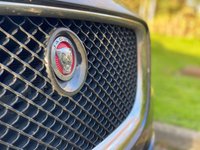 USED 2014 64 JAGUAR XJ 3.0 D V6 PORTFOLIO 4d 275 BHP AUTO Premium Edition