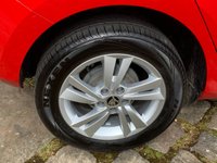 USED 2019 69 SKODA FABIA 1.0 SE MPI 5d 74 BHP WHY BUY NEW ?????  'SCOUP PURCHASE' CHOICE OF 19 CARS FROM ONLY &pound;8495.00 - MILEAGES FROM AS LOW AS 5,000 MLS, HALF THE LIST PRICE WHEN NEW !!!!! BE QUICK WHEN THEY ARE GONE THEY ARE GONE !!