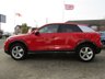 USED 2017 17 AUDI Q2 1.6 TDI SPORT 5d 114 BHP Finished in TANGO RED MET with contrasting SPORTS TRIM. This Audi Q2 is designed to give you the feel-good factor of an Audi A3, but with a higher driving position and the extra feeling of security that comes with it. This low mileage example has features that include Sat Nav, Power Folding Mirrors, Heated Seats, Cruise Control, Park Sensors, DAB, B/Tooth and much more. Dealer serviced at 13752 miles and recently at 21664 miles.