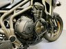 USED 2016 66 TRIUMPH EXPLORER XRX  WITH SCORPION CARBON RACE EXHAUST