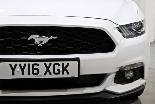 View our FORD MUSTANG