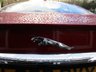 USED 2012 62 JAGUAR XF 2.2 D SPORT LE 4d 190 BHP AUTOMATIC Full Service History + Just Serviced, NEW MOT, Automatic, Diesel