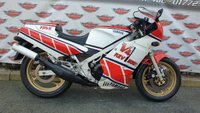 USED 1986 D YAMAHA RZV 500R V4 2 Stroke Sports Classic Absolutely stunning machine with only 5624 miles