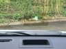 USED 2016 66 TOYOTA PRIUS PLUS 1.8 ICON 5d 98 BHP 7 SEATS AND WARRANTY: SEP 2021