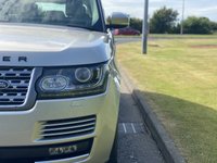 USED 2013 13 LAND ROVER RANGE ROVER 4.4 SDV8 VOGUE 5d 339 BHP AWD AUTO FLAG SHIP  Black Roof Ivory Leather DAB