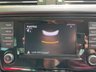 USED 2015 64 SKODA OCTAVIA 1.6 BLACK EDITION TDI CR DSG 5d 104 BHP DSG - SAT NAV - CRUISE CONTROL - BLUETOOTH