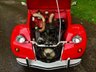 USED 1986 CITROEN 2 CV 0.6 6 SPECIAL 4d 29 BHP A STUNNING REFURBISHMENT//54,000 Miles STUNNING EXAMPLE ,,COMPLETELY RESTORED ,,SEE PICTURES ,AND PLEASE CALL FOR MORE DETAIL