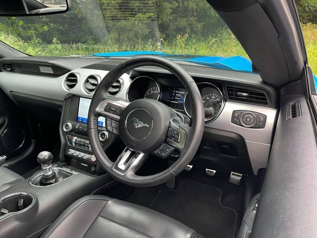 View our FORD MUSTANG