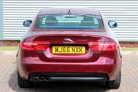 USED 2015 65 JAGUAR XE 2.0d R-Sport Auto (s/s) 4dr **NOW SOLD**