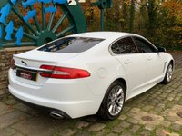USED 2012 62 JAGUAR XF 2.2 D SPORT LE 4d 190 BHP Stunning Jaguar XF Sport LE Diesel 8 spd Automatic with Paddle Shift. Polaris White with fully refurbished 18 inch 'power silver' alloys and chrome front grille, huge spec (see list) Has to be seen to fully appreciate.