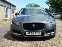 USED 2016 66 JAGUAR XF 2.0 PRESTIGE 4d 177 BHP www.suffolkcarcentre.co.uk - Located at Reydon
