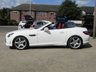 USED 2013 63 MERCEDES-BENZ SLK 2.1 SLK250 CDI BLUEEFFICIENCY AMG SPORT 2d 204 BHP Finished in ARCTIC WHITE with Red Pepper Sports LEATHER TRIM. This SLK is a low mileage luxury two-seater roadster. This great looking head turner is stylish and offers impressive refinement thanks to its folding hard-top, along with affordable and economical running costs. Features include Full Red Leather, DAB radio, B/Tooth, Cruise Control, Front and Rear Park Sensors, Pan Roof and much more. Mercedes Dealer serviced at 5802 miles, 11276 miles, 16510 miles and on arrival at 50247 miles.