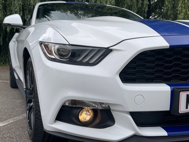 View our FORD MUSTANG
