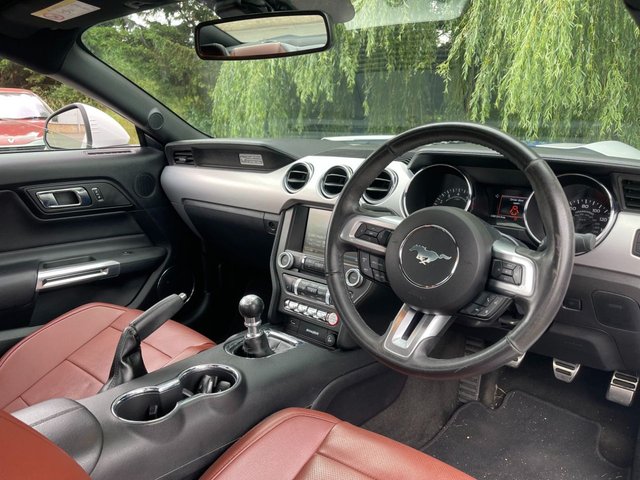 View our FORD MUSTANG
