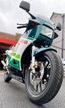 USED 1986 C SUZUKI RG 500 2 Stroke Sports Classic Absolutely stunning machine