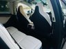 USED 2019 19 TESLA MODEL X 0.0 75D 5d 4WD 1 Owner, ONLY 2,900 Miles.