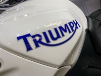 USED 2009 59 TRIUMPH TIGER 1050 ABS  WITH FULL LUGGAGE & REMUS EXHAUST