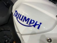 USED 2009 59 TRIUMPH TIGER 1050 ABS  WITH FULL LUGGAGE & REMUS EXHAUST