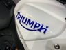 USED 2009 59 TRIUMPH TIGER 1050 ABS  WITH FULL LUGGAGE & REMUS EXHAUST