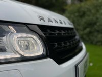USED 2014 63 LAND ROVER RANGE ROVER SPORT 3.0 SDV6 HSE DYNAMIC 5d 288 BHP Glass Panoramic Roof Red Leather