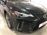 USED 2019 19 LEXUS UX 2.0 250H F SPORT 5d 108 BHP * PRIVACY  GLASS * CLIMATE CONTROL * PARKING SENSORS * 18 INCH ALLOYS * LEATHER *