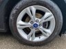 USED 2014 14 FORD FOCUS 1.6 TDCi Zetec 5dr - ALLOY WHEELS 