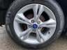USED 2014 14 FORD FOCUS 1.6 TDCi Zetec 5dr - ALLOY WHEELS 