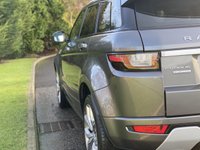 USED 2017 17 LAND ROVER RANGE ROVER EVOQUE 2.0 TD4 AUTOBIOGRAPHY 5d 177 BHP 360 Camera Park Assist NAV DAB