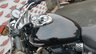 USED 2009 58 TRIUMPH SPEEDMASTER 865 Cruiser Beautiful midweight cruiser