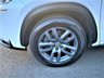 USED 2017 17 LEXUS NX 2.5 300H LUXURY 5d 153 BHP ** RAC BUYSURE INSPECTED **