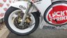 USED 1987 D SUZUKI RG 500 2 Stroke Sports Fully serviced, set-up and refurbished, rides great