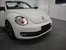 USED 2013 13 VOLKSWAGEN BEETLE 2.0 SPORT TDI 2d 139 BHP WITH CAM BELT AND GREAT SERVICE HISTORY ONE PREVIOUS KEEPER AND LOW MILEAGE THIS IS THE BEST COLOUR
