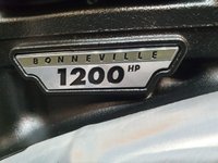 USED 2017 17 TRIUMPH Thruxton 1200 1200cc WITH CUSTOM PAINT WORK